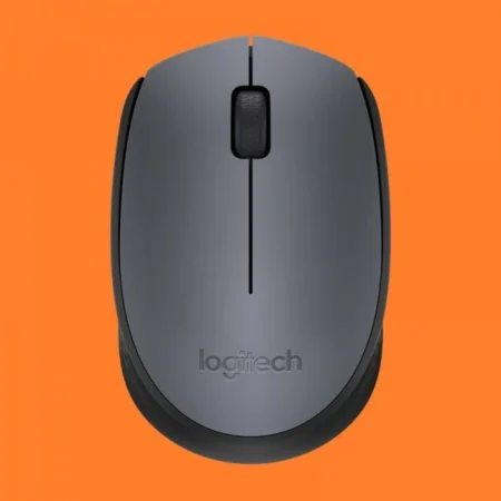 Logitech M170